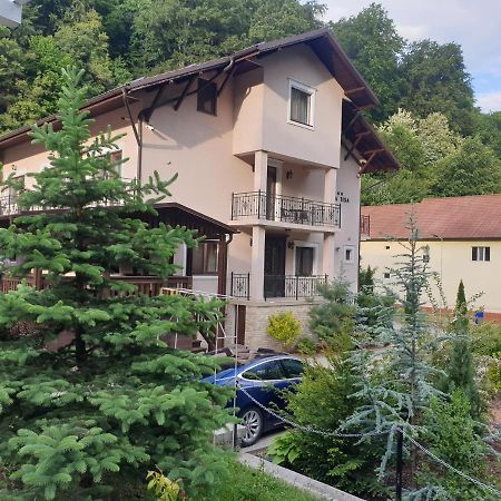 Vila Tisa Tismana Exterior photo